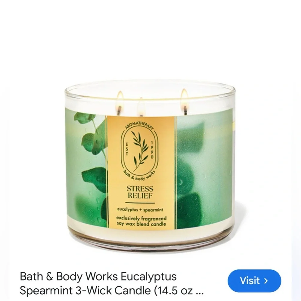 NWT Bath & Body Works Eucalyptus Spearmint Aromatherapy Candle